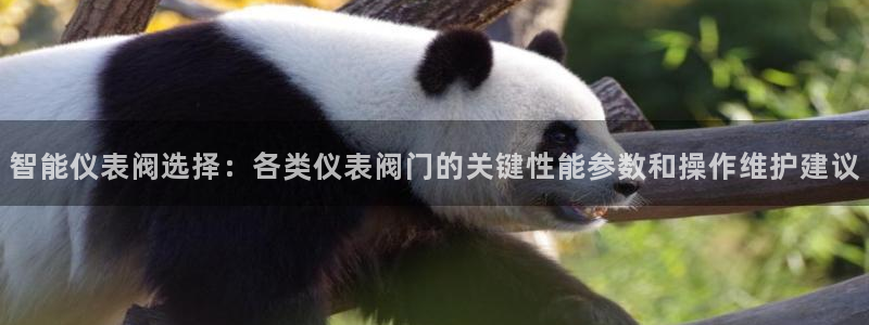 新宝gg注册登录网址