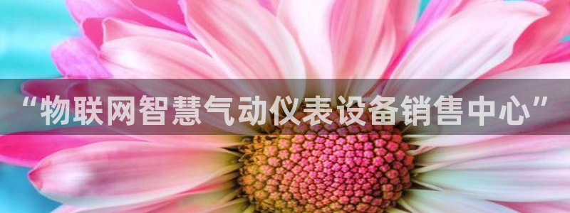 怎么下载新宝gg