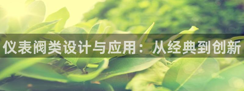 广东新宝电器gg