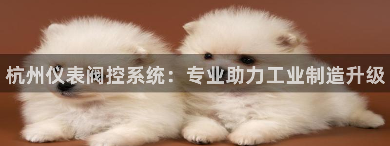 新宝gg和新宝123