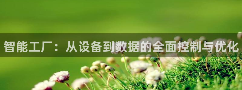 新宝gg软件下载