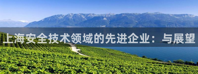 怎么代理新宝gg