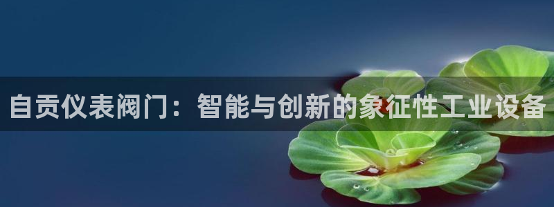 新宝gg代理条件