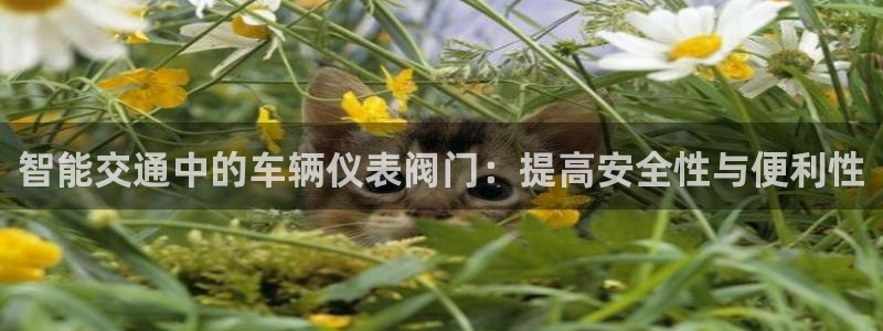 新宝gg帐号注册