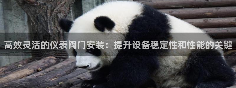 新宝gg返点模式