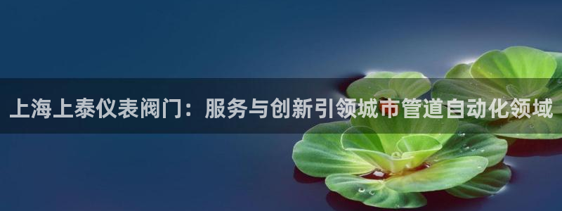 新宝GG用哪个网址登录