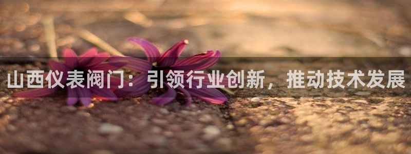 新宝GG娱乐-上皇巢网