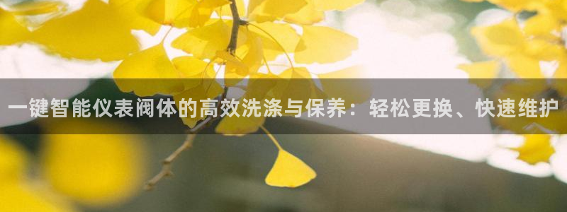 新宝gg登录链接