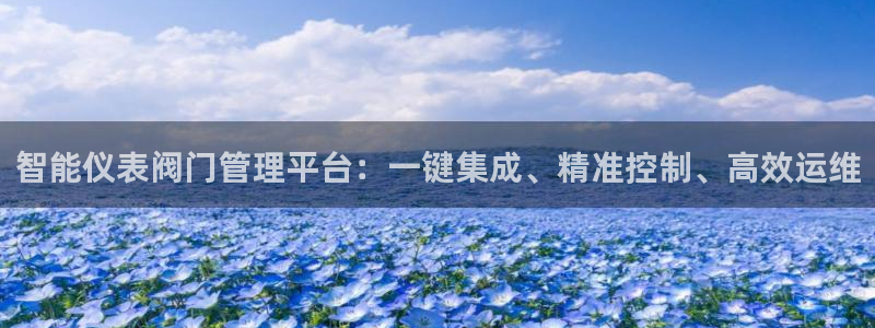 新宝gg真的能赚钱么