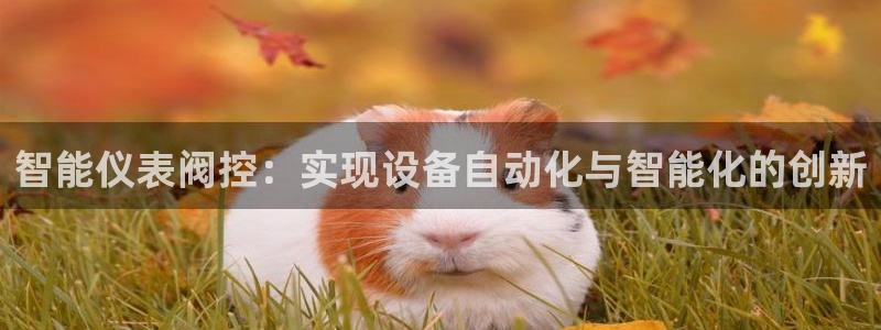 新宝gg游戏登录