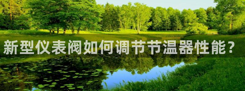 新宝gg手机登录官网