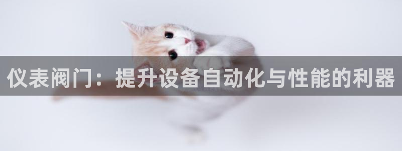 新宝gg软件下载