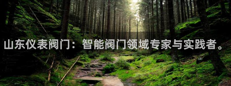 新宝GG专业团队