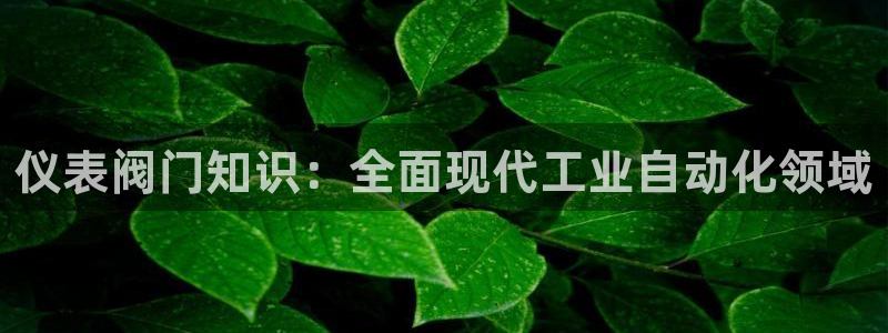 新宝gg手机官网登录