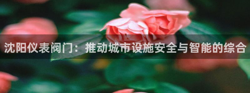 登录新宝GG