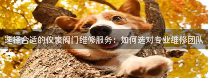 新宝gg官方主管