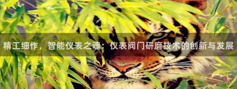 新宝gg招商致胜团队