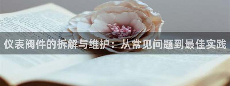新宝gg 主管