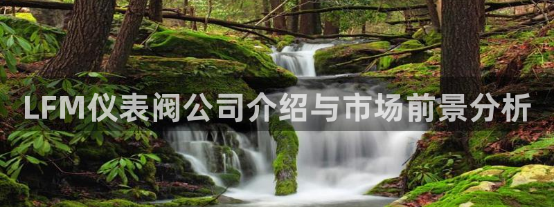 新宝gg会员