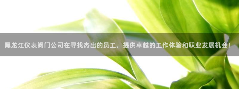 新宝gg分红