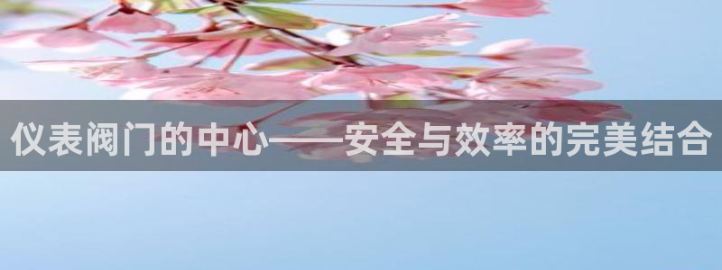 新宝六与新宝gg