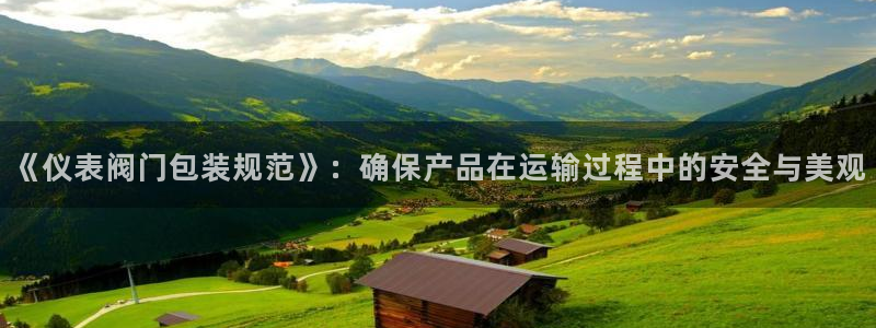 新宝gg黑平台