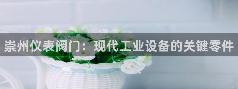 新宝gg评论