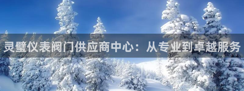 新宝gg客户登录