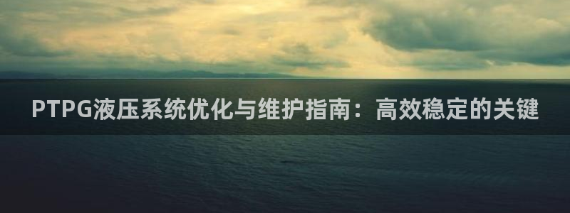 新宝gg代理